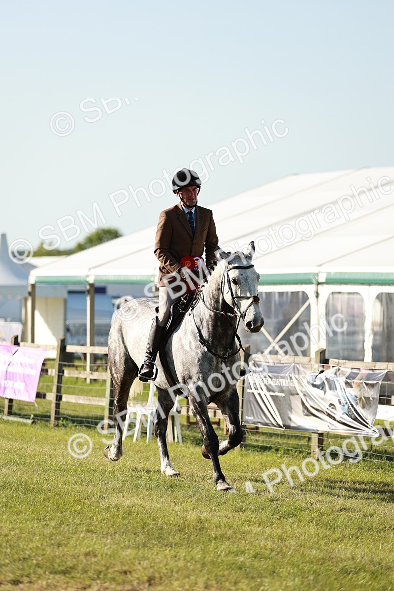 SBM_20137 - Class 115-116 - LIHS BSHA Rising Star Working Hunter & Show Horse
