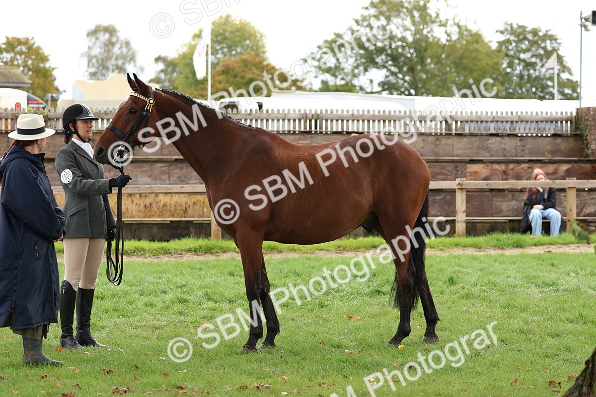 SBM_40769 - S25 -  Veteran In Hand