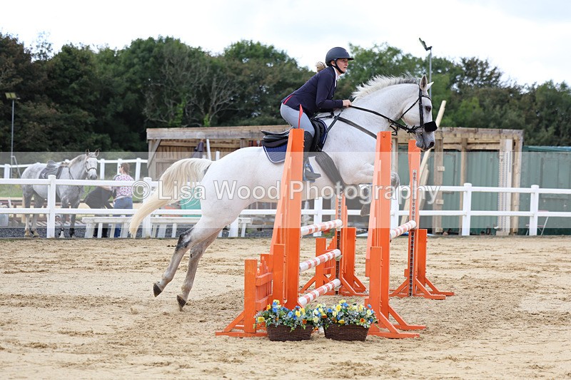 3E7A2216 - Class 4: Senior British Novice/90cm open