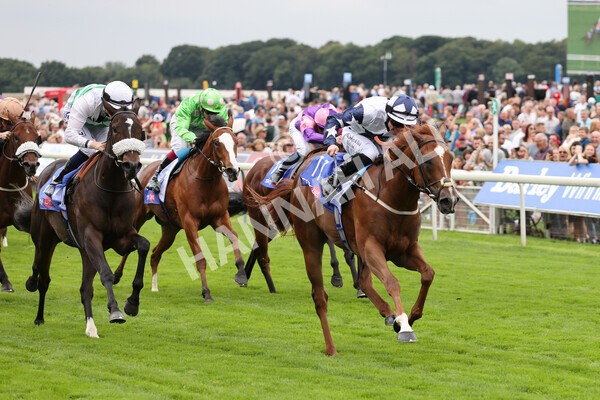 yr19082021r1-23 - Race 1 1.50pm Sky Bet Lowther Stakes