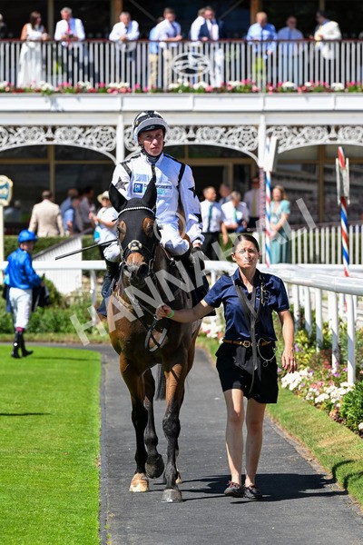 110725-Race 1-Obelix-0176 - Race 1 2.10pm William Hill Extra Place Races Daily Handicap