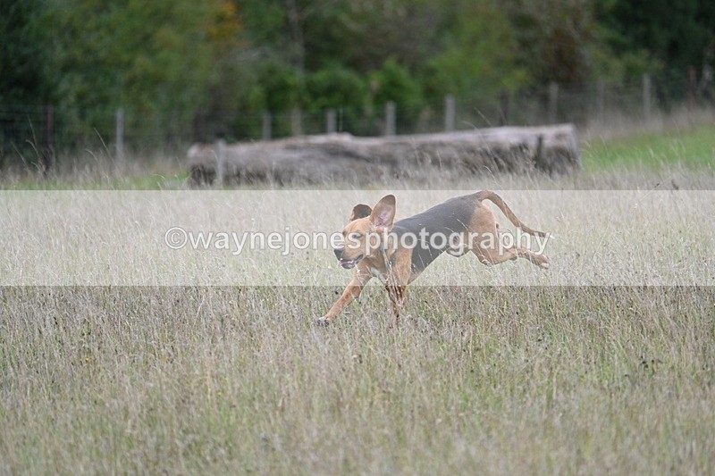 WJ7_3606 - Camera 1 Line 1