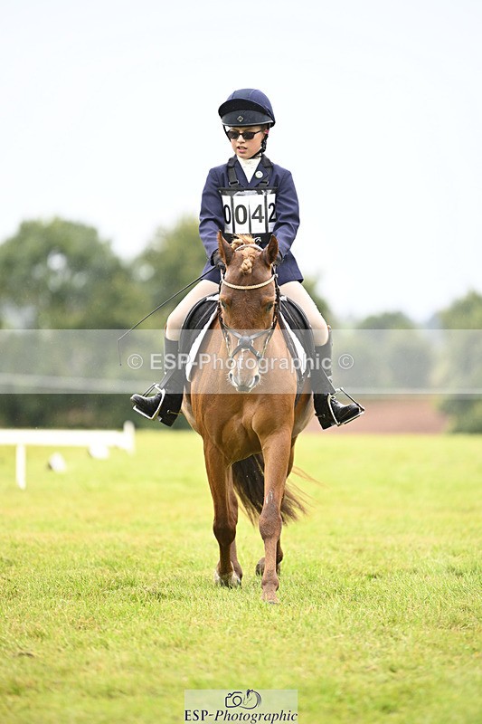 240824X-102505-21659 - D70 Section A and B 9.30 to 10.40