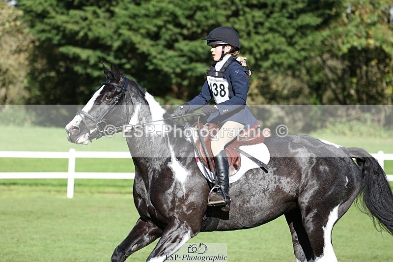 231022-143942-28272 - 438-KILCORBAN.MY.FAIR.LADY-Natasha.Crapper-TrotUp+SJ