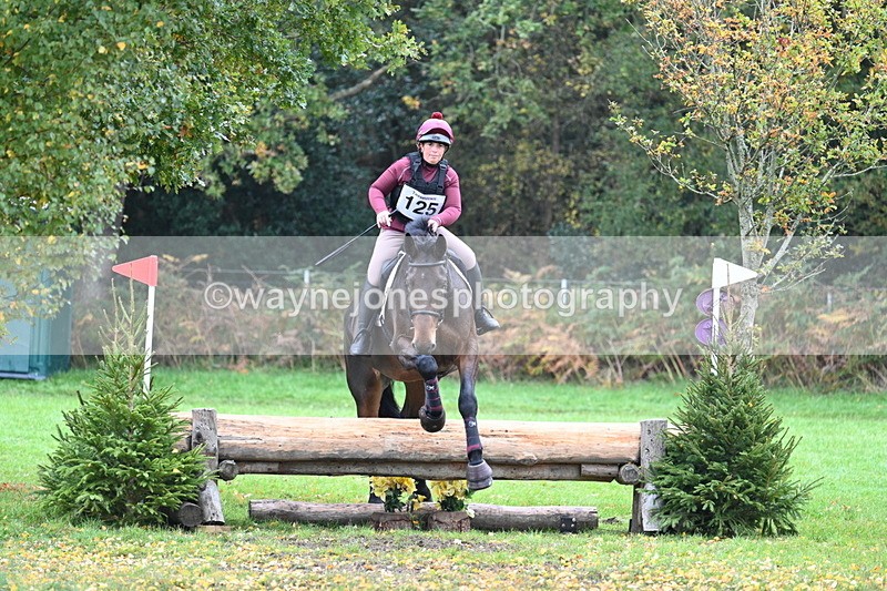 WJ7_3296 - Time 11:13 to 11:32