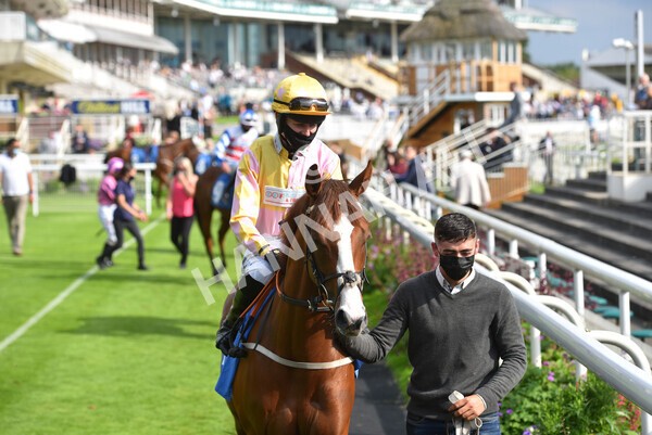 yr09072021r7-3 - Race 7 5.30pm William Hill Extra Place Races Stakes