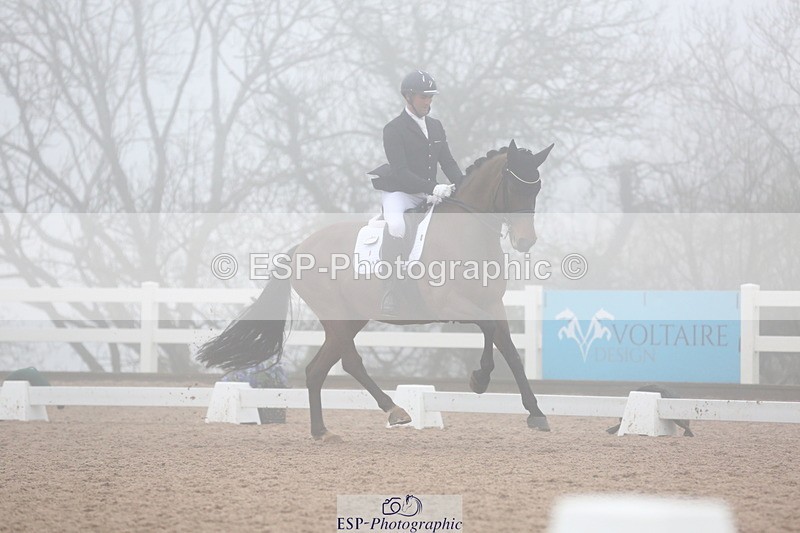 240217A-140317-03987 - 172-Jezz.Palmer-Honey.D'Or