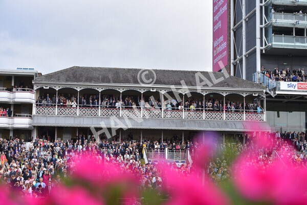 yr18082021r1-50 - Race 1 1.50pm Sky Bet & Symphony Group Stakes