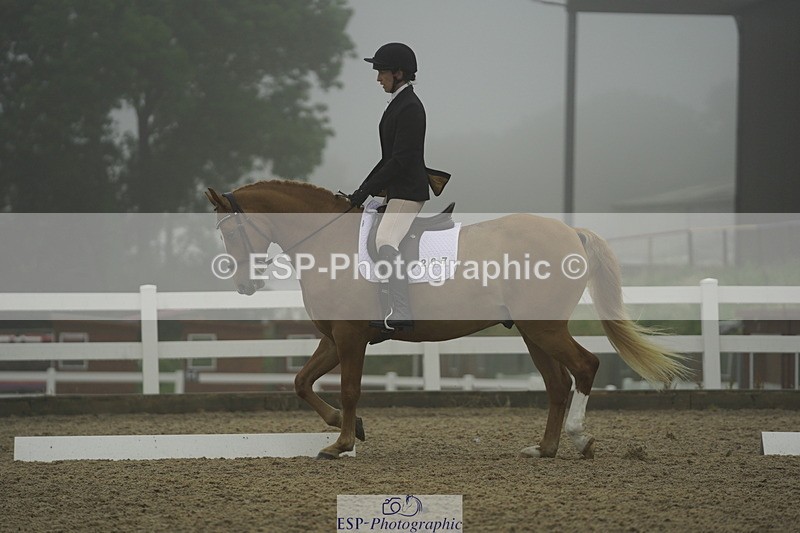 230708A-150110-03963 - Prelim 18