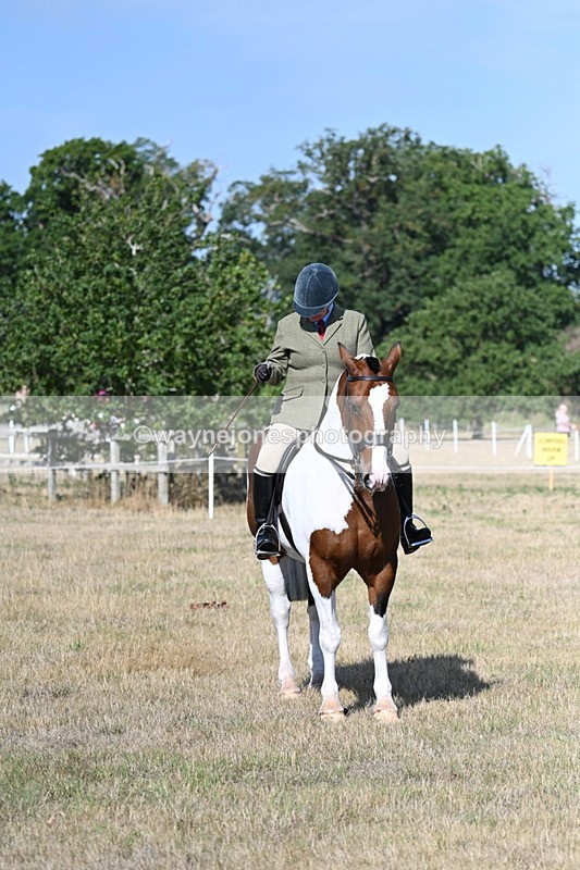 WJ7_2865 - Class 8 Ridden Tack & Turnout