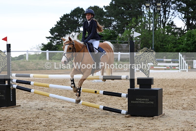 3E7A8526 - Class 14: Pony Newcomers/1m open