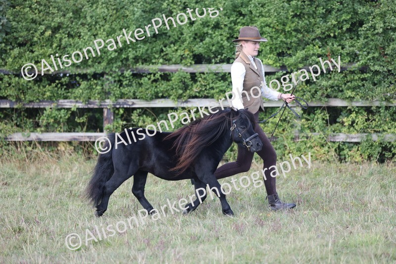 20250831-1624 - Class 22 - Mountain and Moorland Inhand