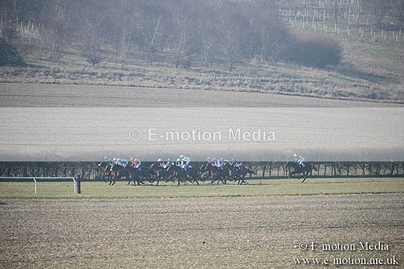 PtP 230219 83 - Vine & Craven Point-To-Point - Barbury 23/02/19