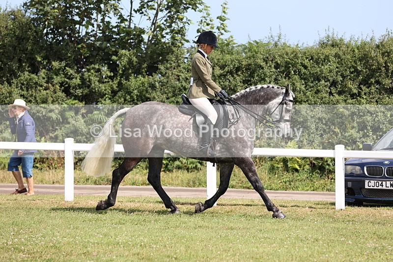 JPP_1118 - Class 17: Cornish Combination Open