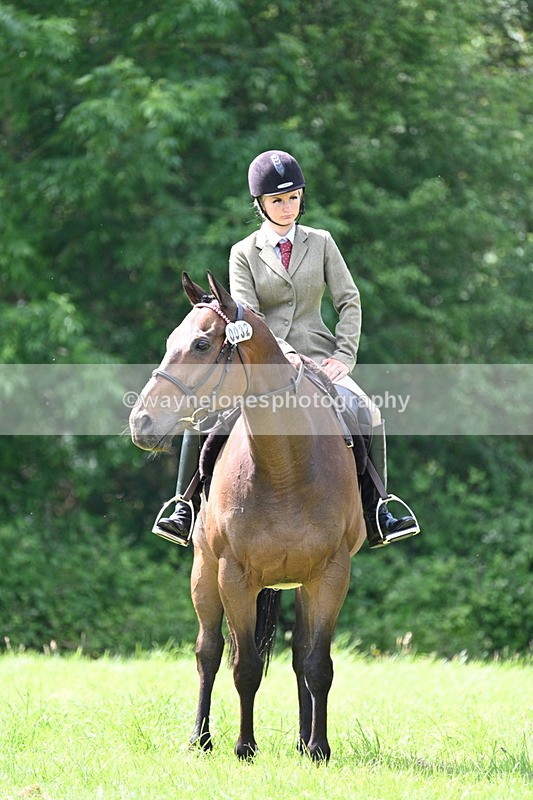 WJ7_1420 - Class 11 Condition & Turnout
