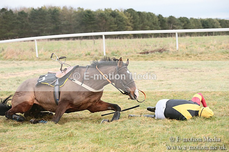 PtP 230119 64 - Royal Artillery Point-to-Point  - Larkhill  - 26/01/19