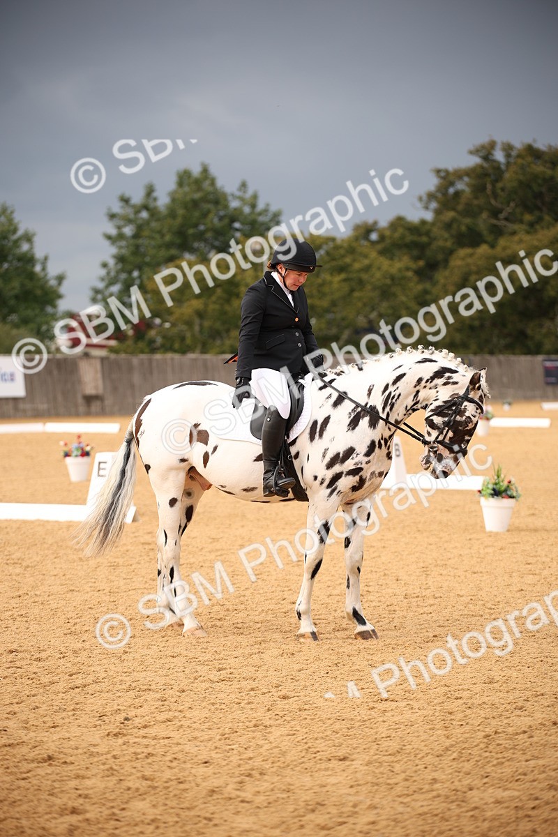 SBM_12301 - D3 Small  Tour Championship Intro A