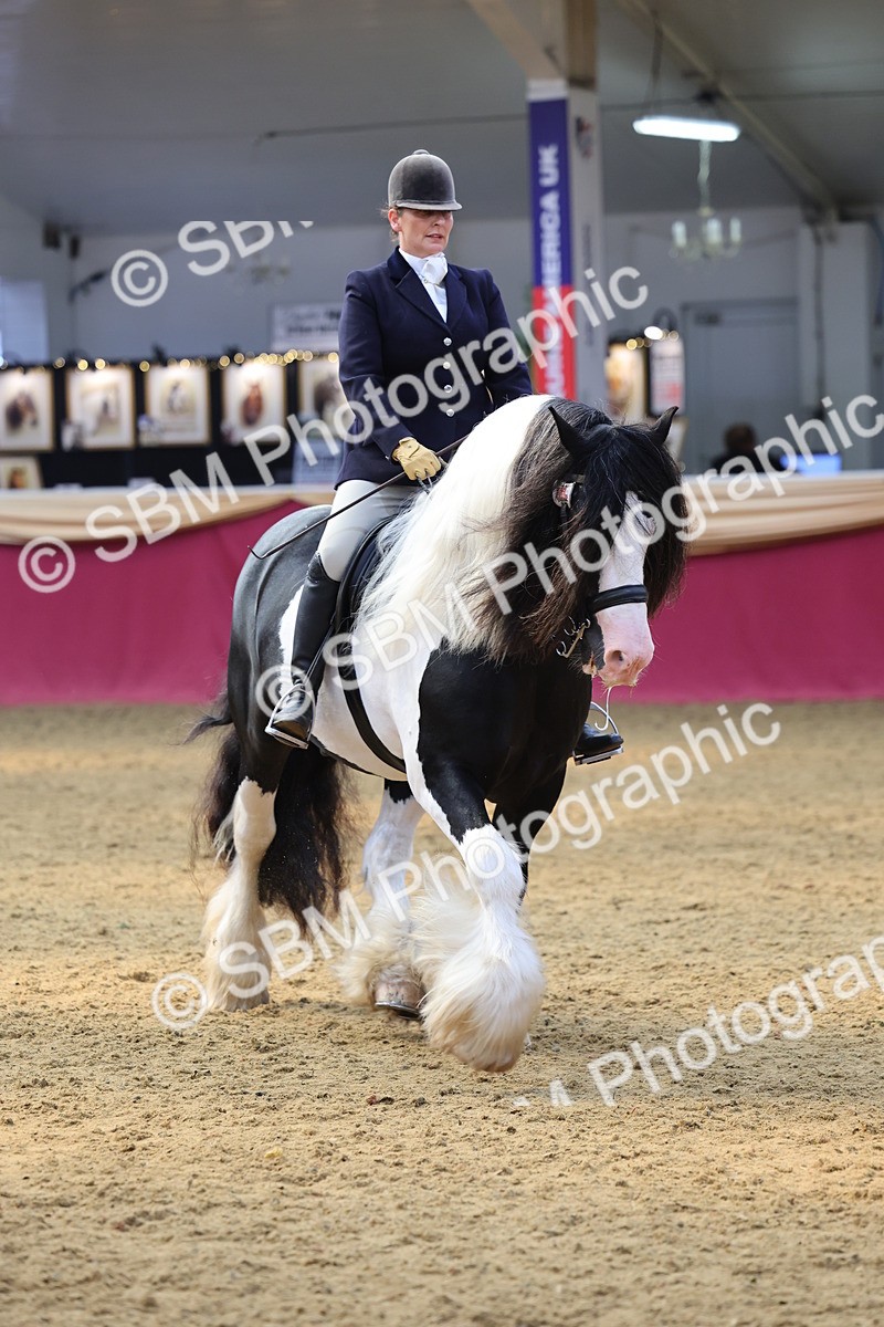 SBM_24130 - Class 905 - Supreme Final - Ridden Veteran