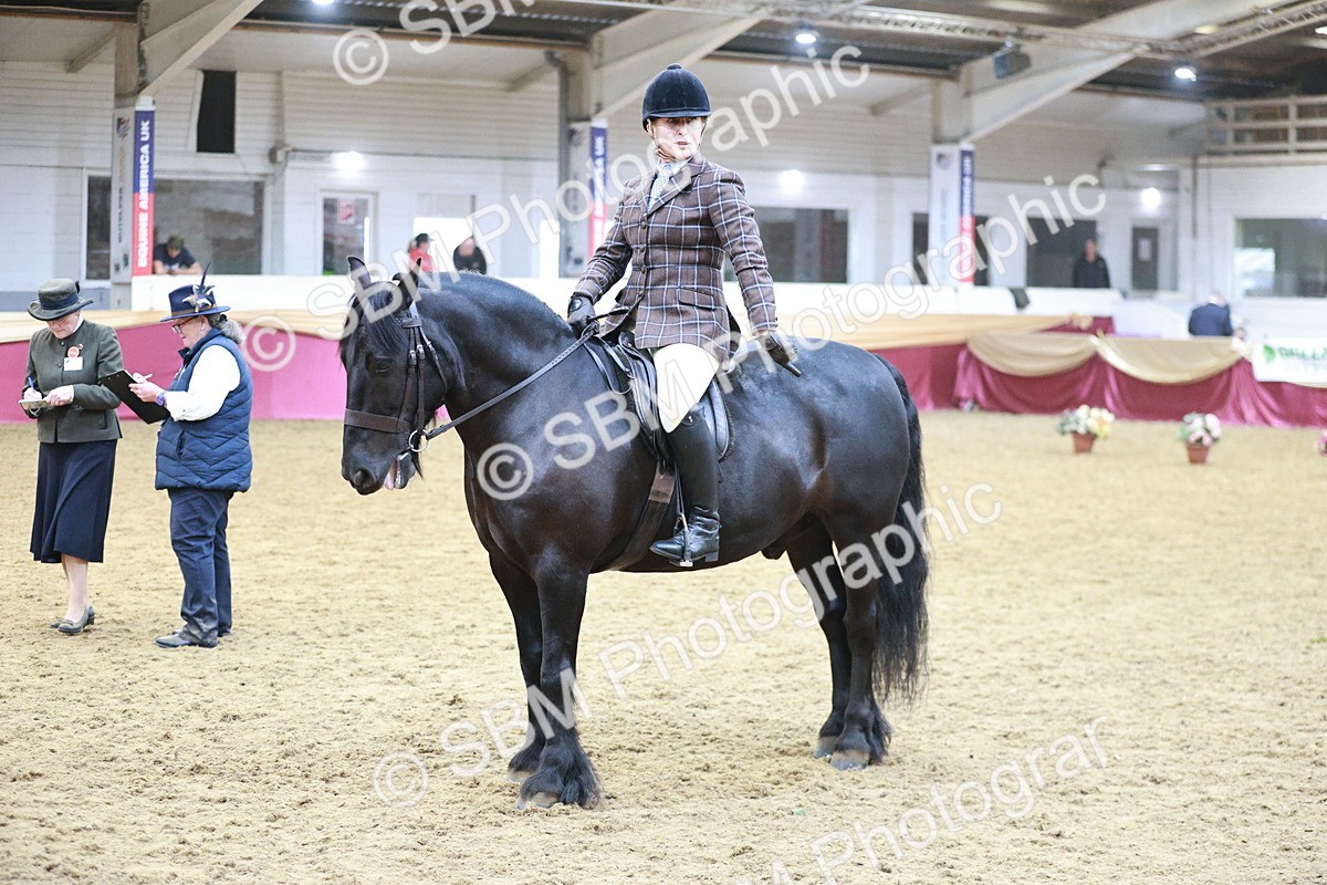 SBM_08874 - Class 12R - Regional Ridden Pre-Vet