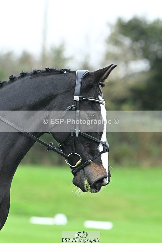 241024-094302-02836 - 403-Keira.Parsons-SARATOGA.CANDYMAN