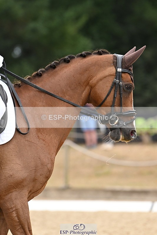 250808A-102227-00097 - 046-Alice.De.Soer-Lauretta.S