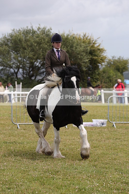 1X9A4503 - Class 34: Veteran Ridden