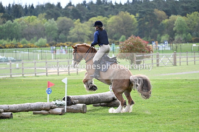 WJ7_6416 - 60cm Time 11:12 to 11:36