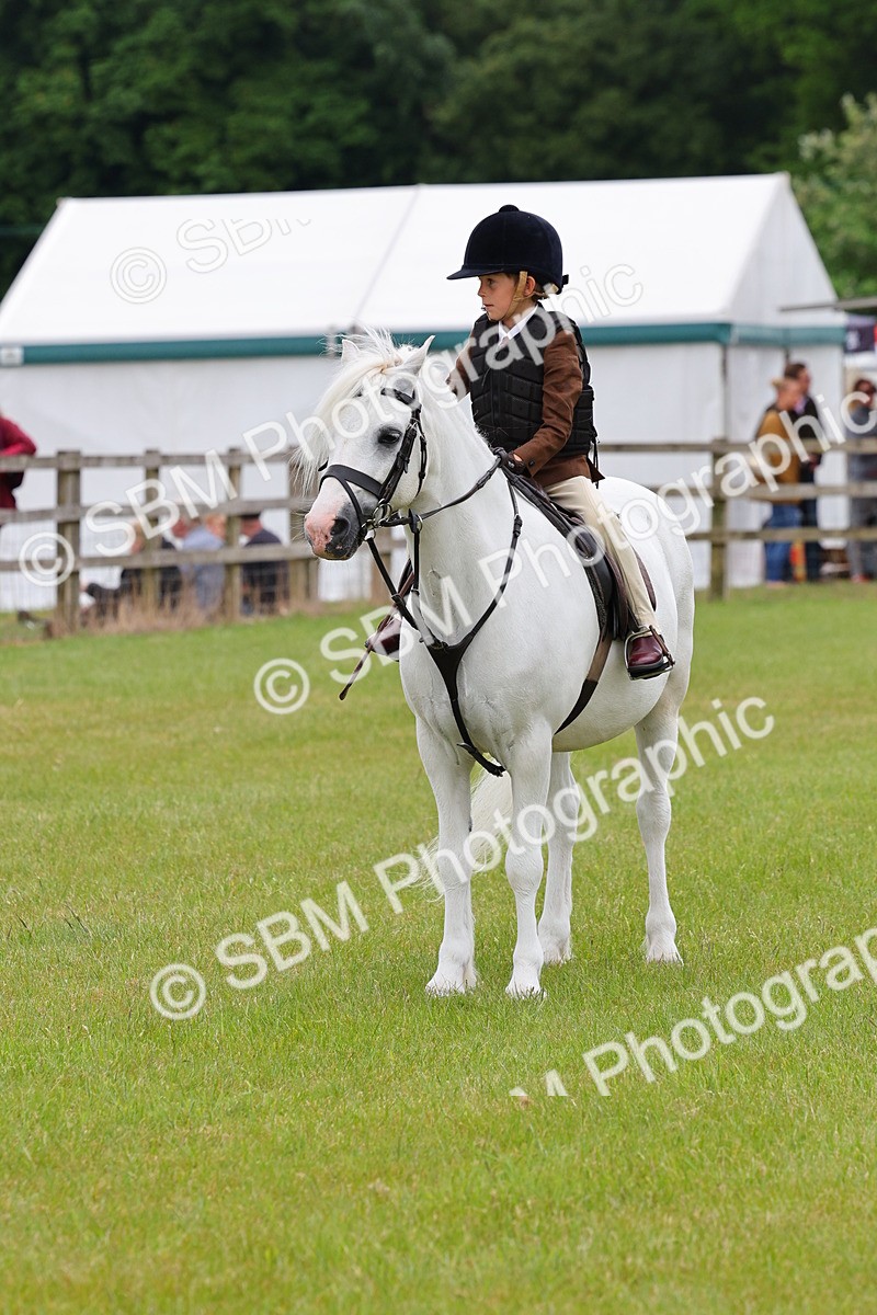 SBM_08694 - Class 42-43 - LIHS BSPS Heritage Working Sports Pony