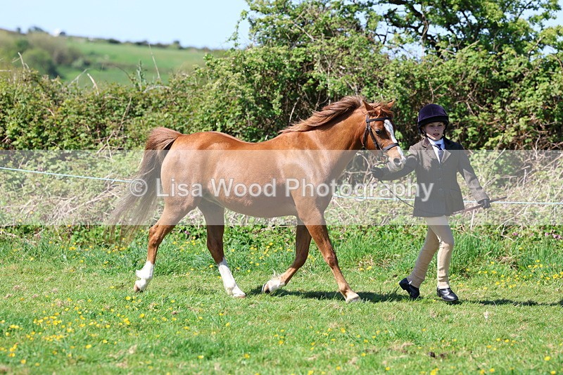 3E7A9831 - Class 17: Young Handler