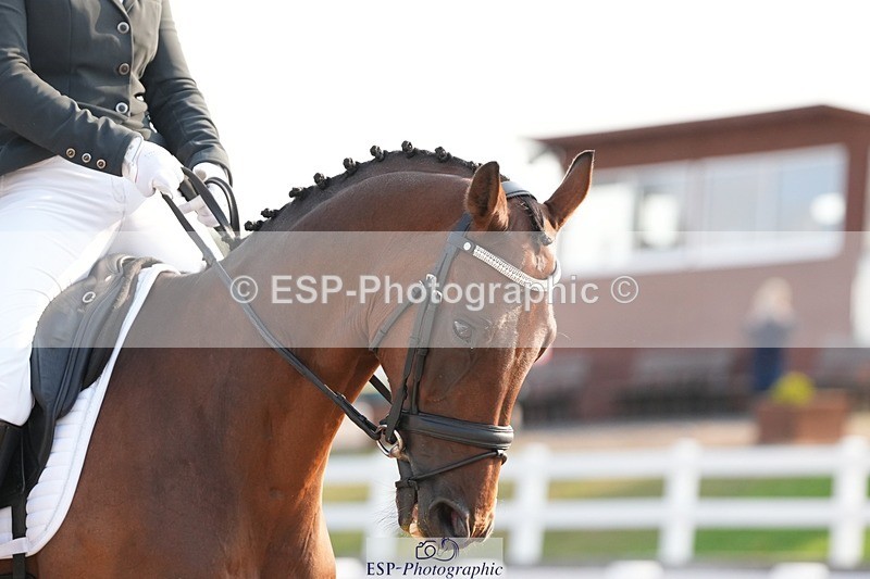 250817-084817-07031 - 160-Danielle.ThackrayRomanno.Maydream