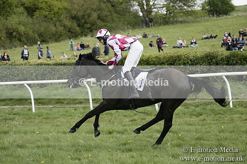 PtP 170417 378 - Old Berks Point-to-Point Lockinge 17/04/17
