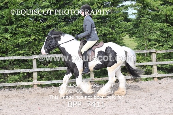 BPP_7411 - RING 1  (RIDDEN HORSES / IN HAND / VETERAN ETC)