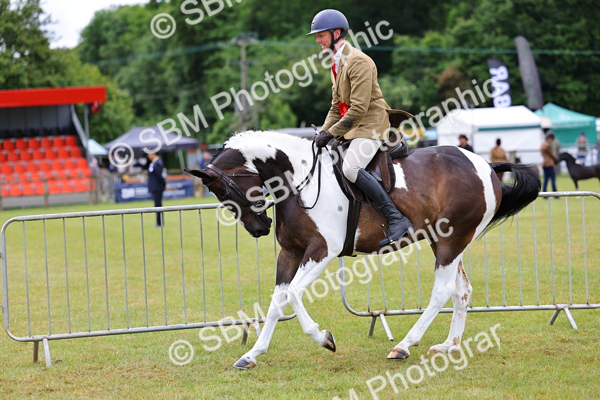 SBM_02650 - Class 9-11 Side Saddle including LIHS Rising Star Ladies Show Horse