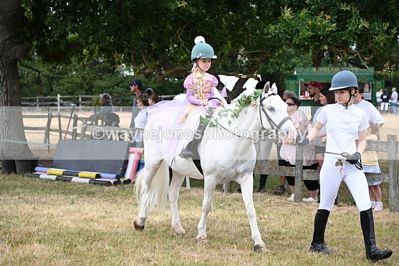 WJ6_4635 - Class 11 Fancy Dress