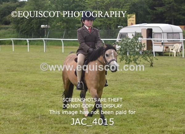 JAC_4015 - 40CM WORKING HUNTER