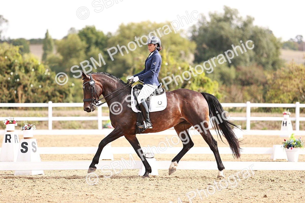 SBM_017561 - Class 11 - Advanced Medium 6