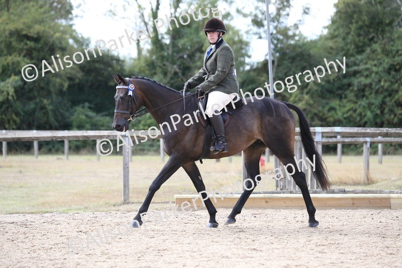 20260831-2667 - Class 15 - Ridden Retraining of Racehorses