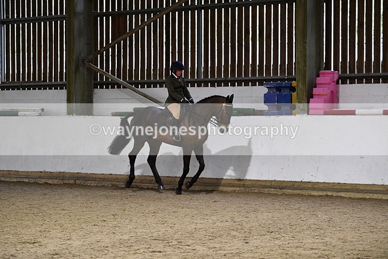 WJ5_8820 - Class 15 Ridden Show Horse