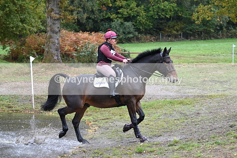 WJ7_3342 - Time 11:13 to 11:32