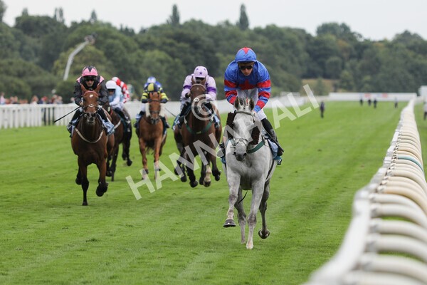 yr23072022r5-24 - Race 5 4.25pm Sky Bet UK's No1 Betting App Stakes