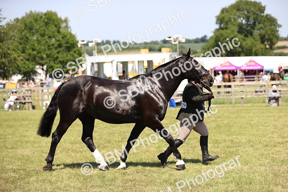 SBM_17937 - Class 81-83 - TSR Ridden Amateur of the Year - Horses