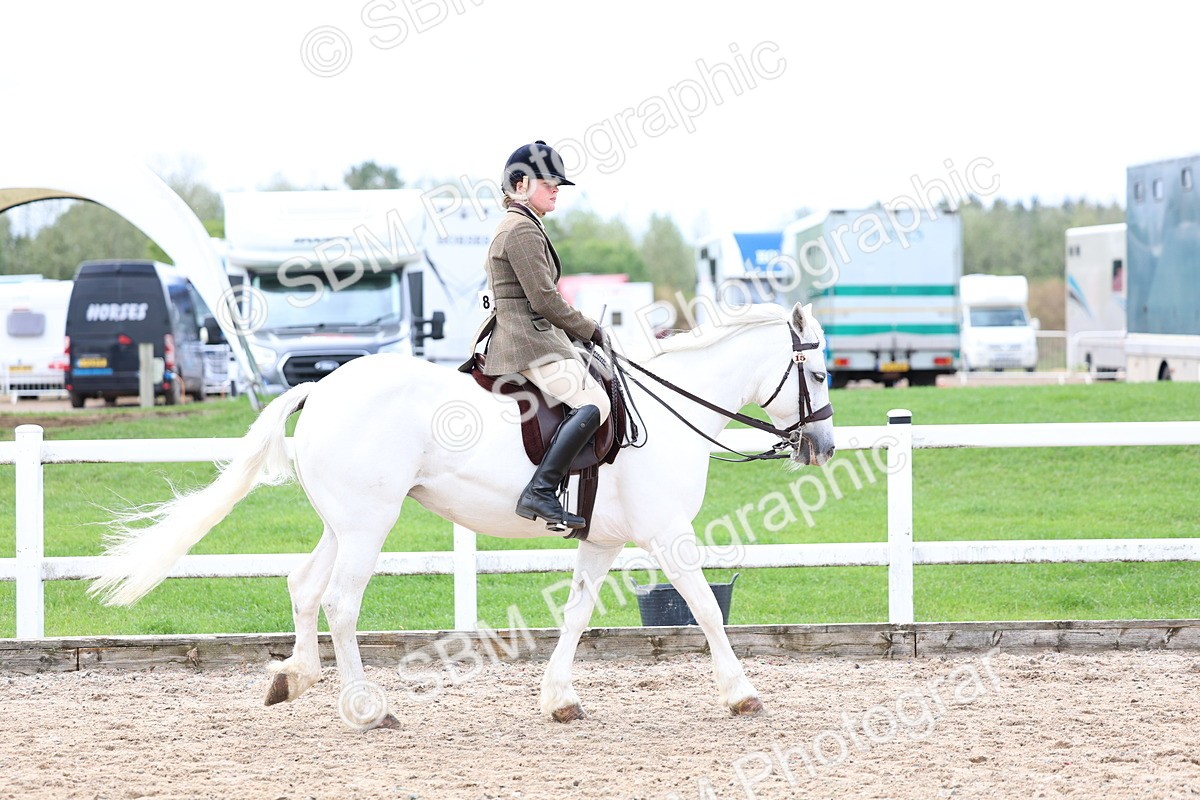 SBM_01511 - Class 17 - Prettiest Mare