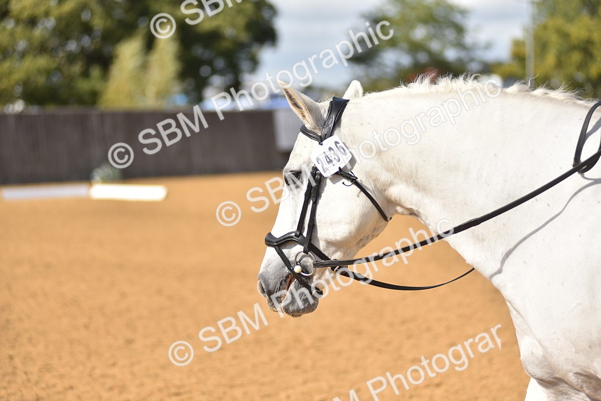 SBM_22512 - D13 - Grand Tour Championship Prelim 3