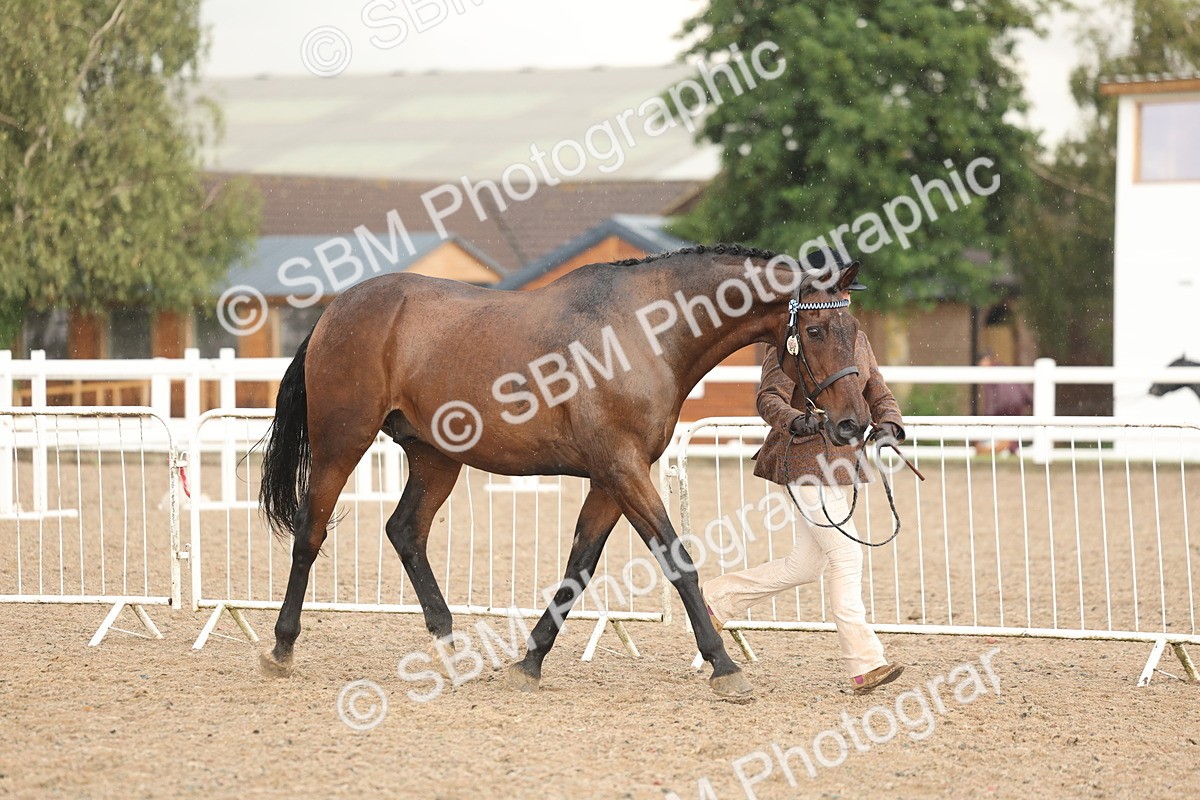 SBM_07753 - Class 27 - IH Competition Horse/Pony