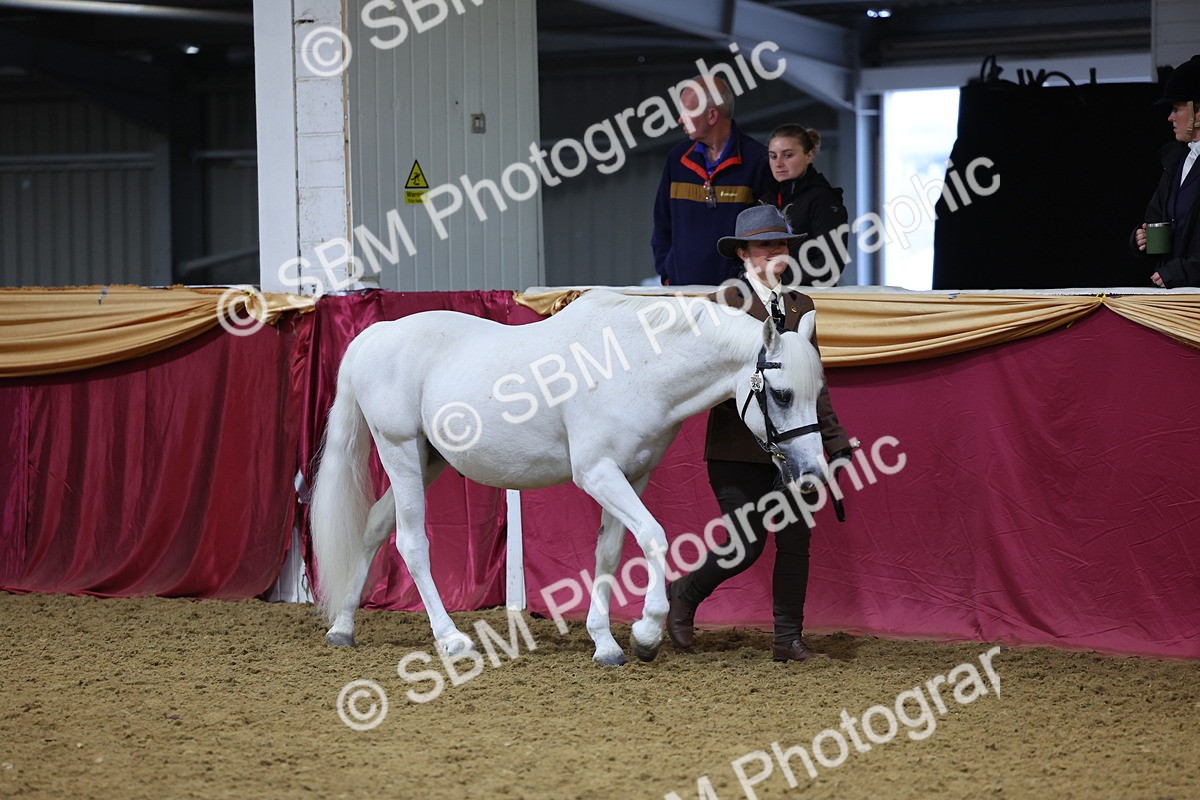 SBM_19355 - Class 901 - Supreme Final - IH Diamond