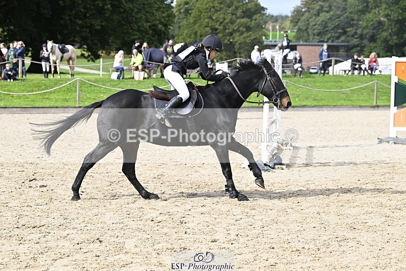 251005A-125625-03970 - Cls 08 Mini 70-75cm