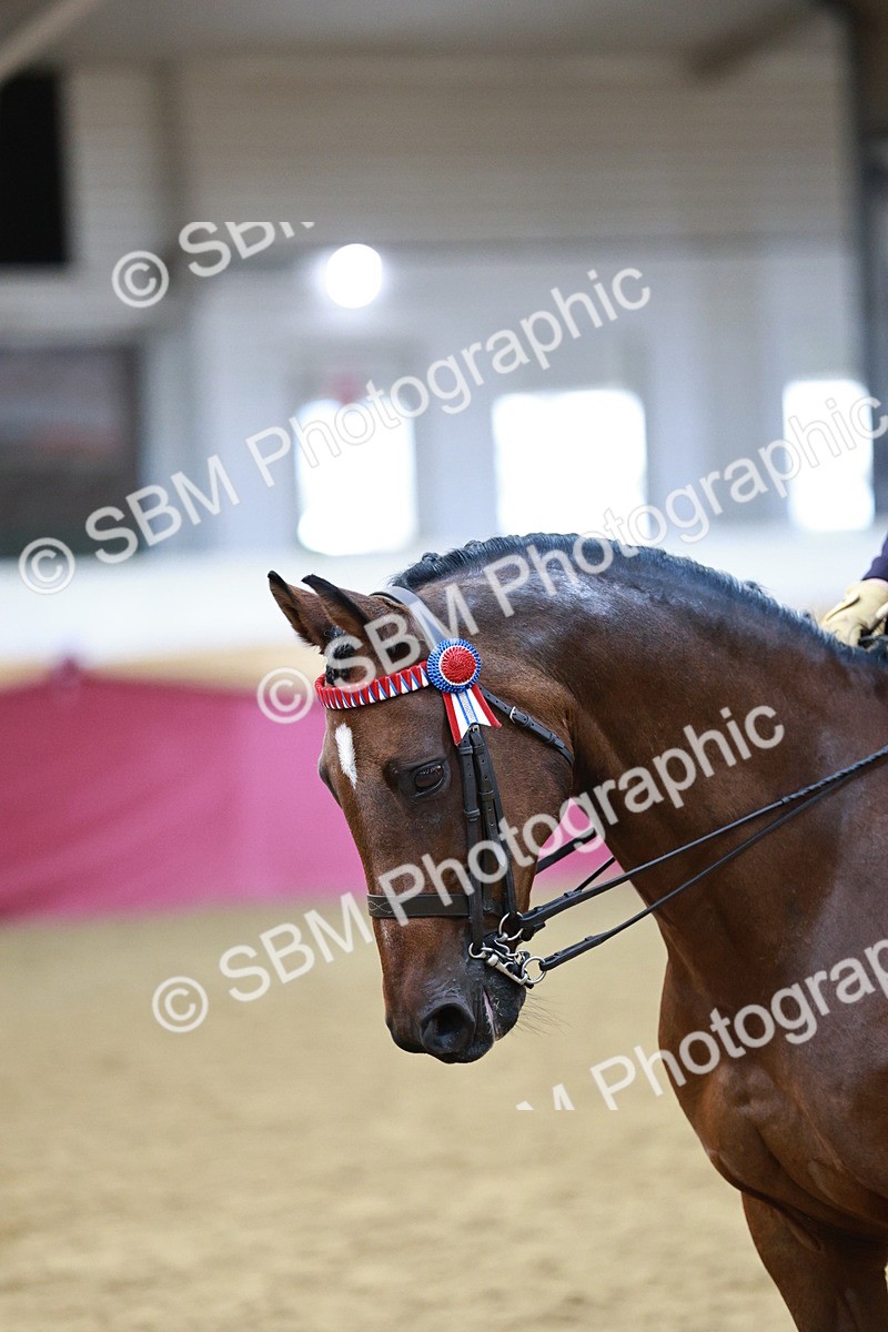 SBM_08264 - Class 11R - Regional Ridden Veteran