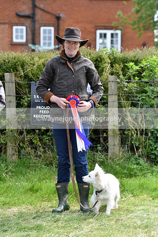 WJ5_0825 - Best in Show Championship