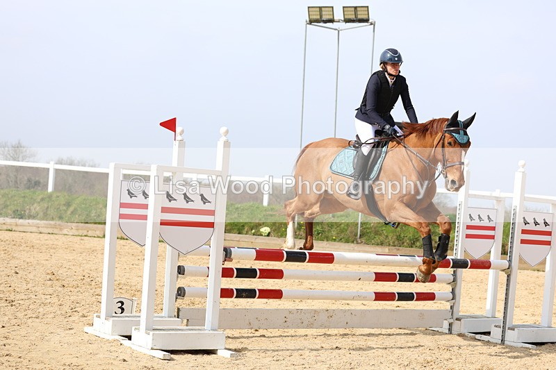 3E7A6766 - Class 4: Senior British Novice/90cm open