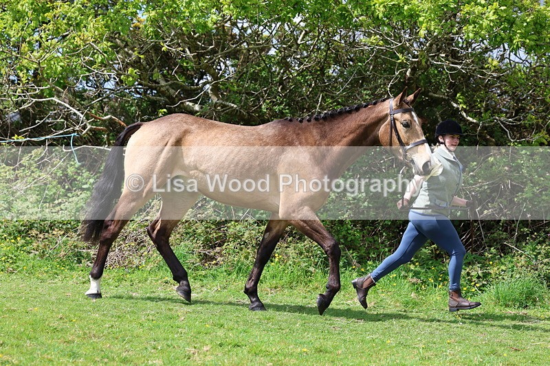 3E7A0462 - Class 20: Sports Horse